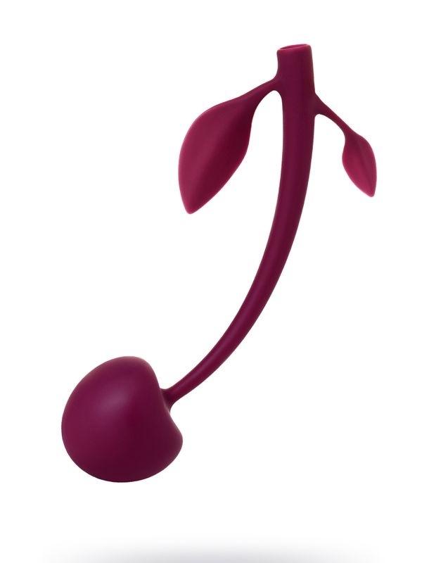 censan-jos-kiraz-vajinal-top-silikon-bordo-145-cm-355083-1 Censan Jos Kiraz Vajinal Top silikon bordo 14,5 cm - Görsel 1
