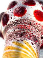 Censan Sexus Çift Taraflı Cam Dildo 18 cm - Görsel 5