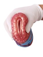 Censan Yaratık Şeklinde Vajina Mastürbatörü Model no: G6167 - Görsel 4