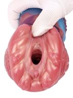 Censan Yaratık Şeklinde Vajina Mastürbatörü Model no: G6169 - Görsel 5