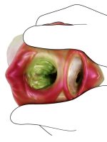 Censan Yaratık Şeklinde Vajina Mastürbatörü Model no: G6178 - Görsel 4