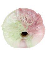 Censan Yaratık Şeklinde Vajina Mastürbatörü Model no: G6180 - Görsel 4