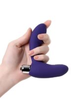 CENSAN Bruman prostat stimülatörü silikon mor 12 cm - Görsel 2