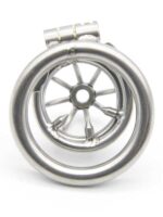 Censan Çelik Penis Kilidi - Görsel 2