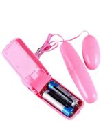 CENSAN Çiftli Pembe Kumandalı Yumurta Vibratör - Görsel 3