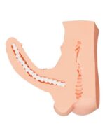 Censan Juicy Pussy Penis Masturbator TPE Ten 25 cm 19 cm Dildo - Görsel 4