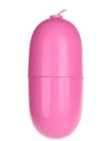 CENSAN Kumandalı Yumurta Vibratör - Görsel 4