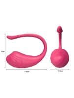 Censan Telefon Kontrollü Yumurta Vibratör - Görsel 5