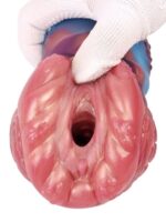 Censan Yaratık Şeklinde Vajina Mastürbatörü Model no: G6169 - Görsel 5