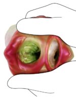 Censan Yaratık Şeklinde Vajina Mastürbatörü Model no: G6178 - Görsel 4