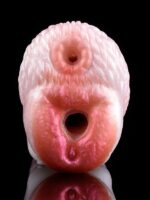 Censan Yaratık Şeklinde Vajina Mastürbatörü Model no: YC-2306 - Görsel 5