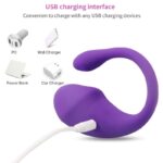 Noctis Telefon kontrollü Mor vibratör - Görsel 2