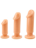 Prof. Jason Anal Dildo Seti